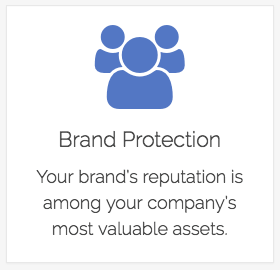 We protect brands on search engines.