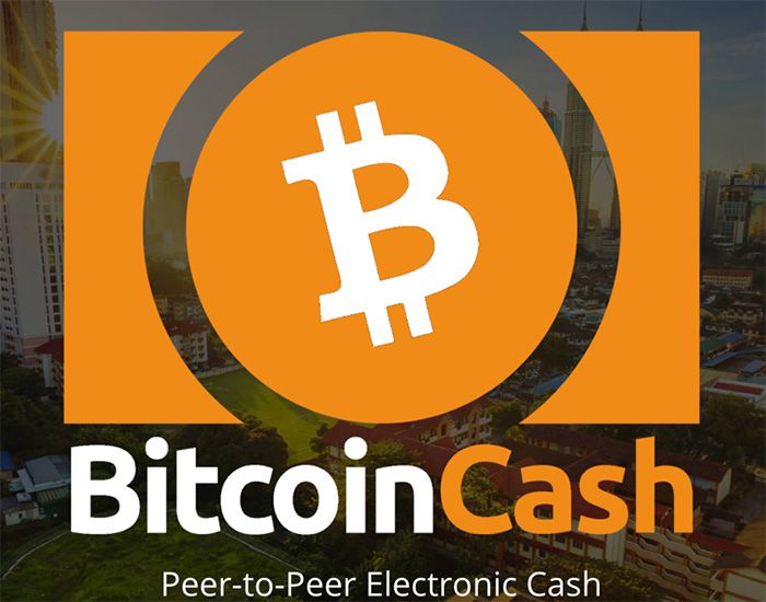bitcoin-cash.vip review