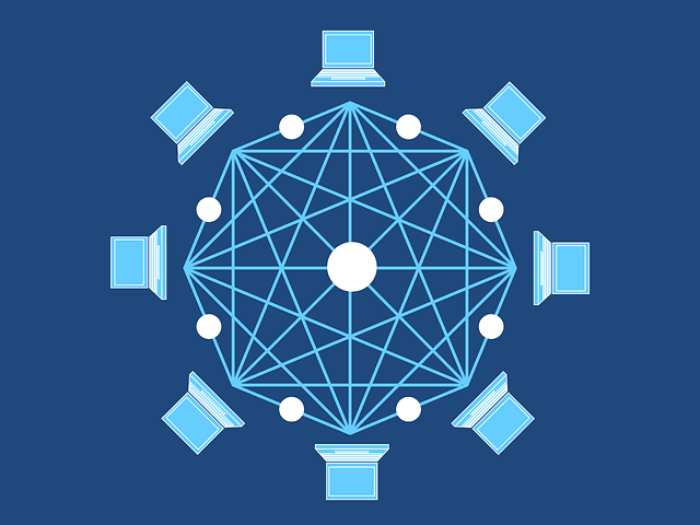 blockchain network